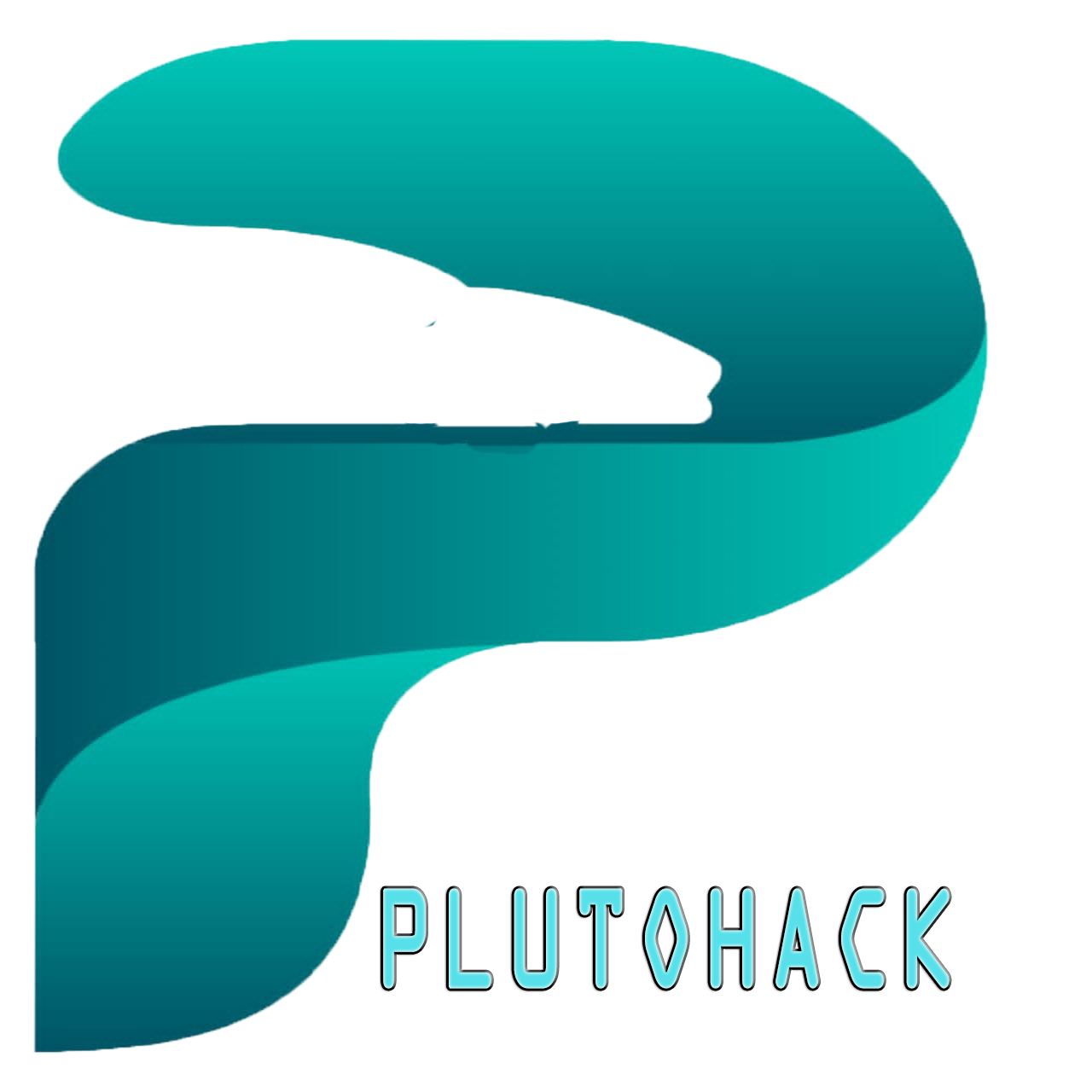 Plutohack – Recover your Assets, Secure Your Finances 